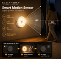 Motion Sensor Light